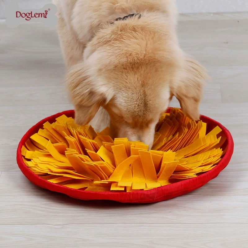 Littlebeat Forage — Snuffle Mat & Slow Feeder